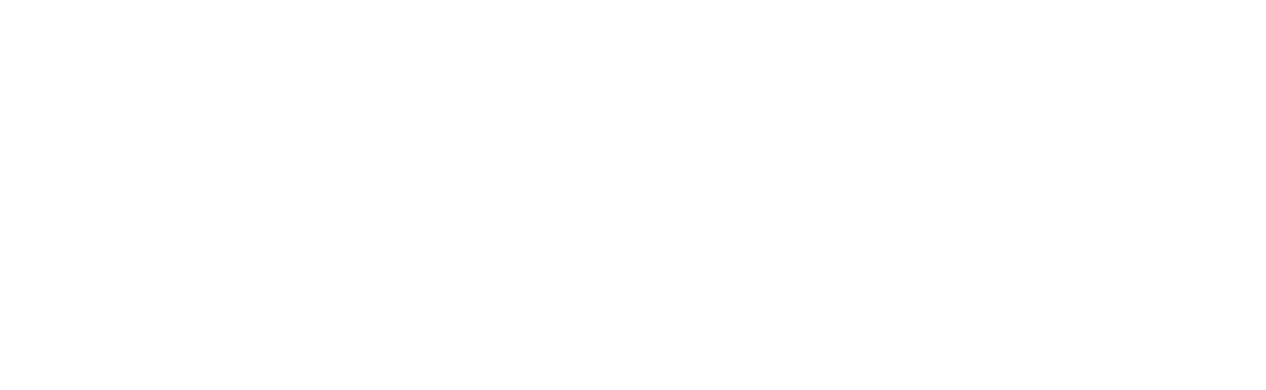 Custom True North